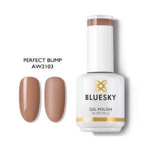 Bluesky Perfect Bump